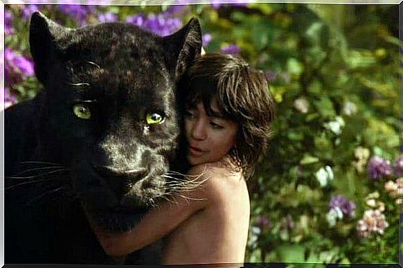 Mowgli and Bagheera