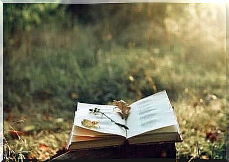 An open book on a sunny field