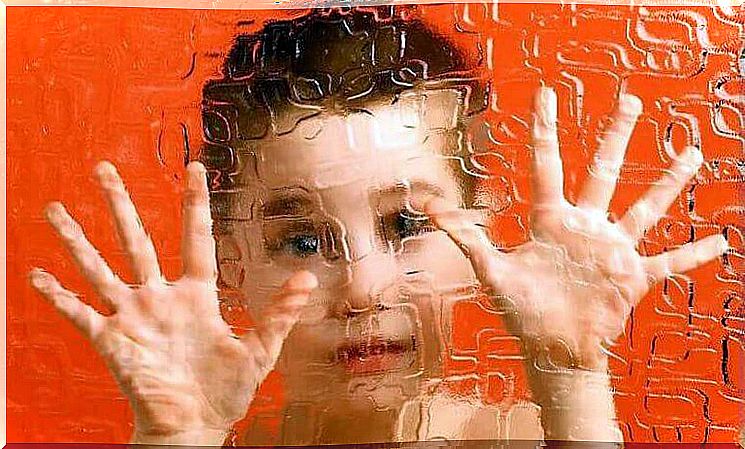 Boy standing behind a window.