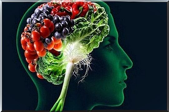 Foods that improve one's memory