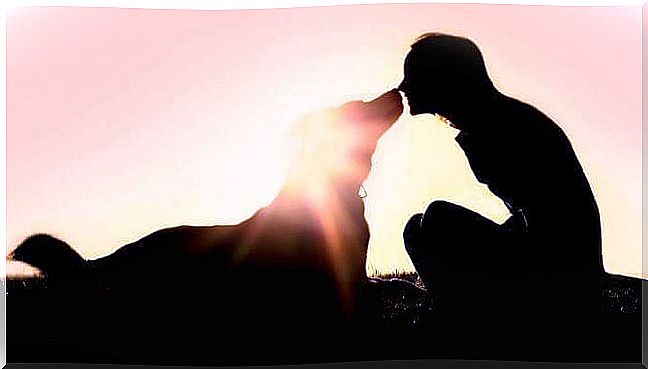 Dog sniffing at woman.