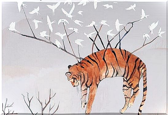 Birds carry tigers