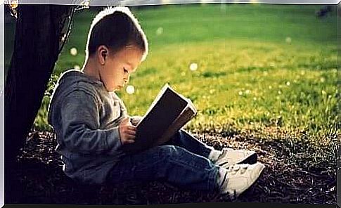 Boy reading a book