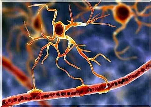 The importance of glial cells for the basic functions of the brain