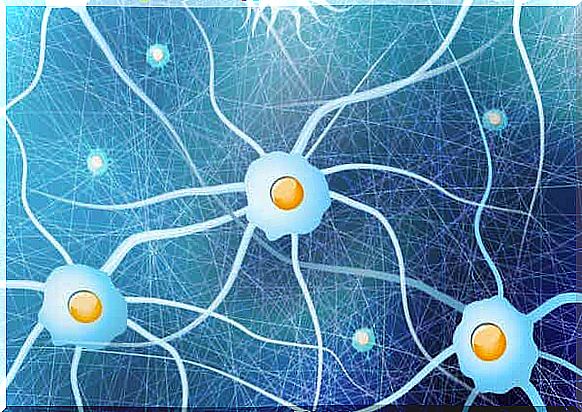 There are a number of different glial cells that fulfill different functions