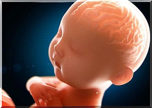 The mind of a baby - what does it look like?