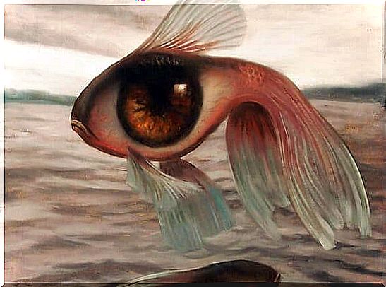 Big-eyed fish