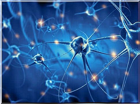 The body repairs and regenerates nerve cells