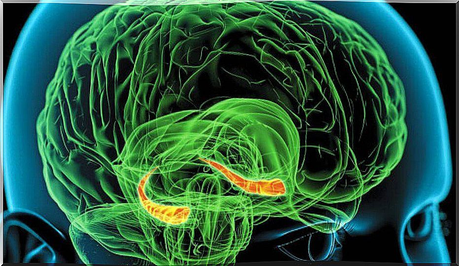 Schematic image of green brain.